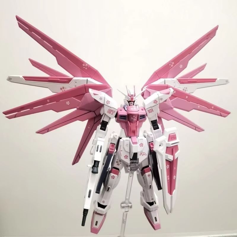 JMS HG 1/144 ZY-06 Freedom Ass - Bandai Model Gundam Hg บทวิจารณ์และราคา